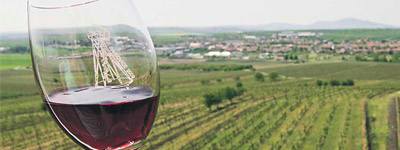 Pětice vinařských obcí
